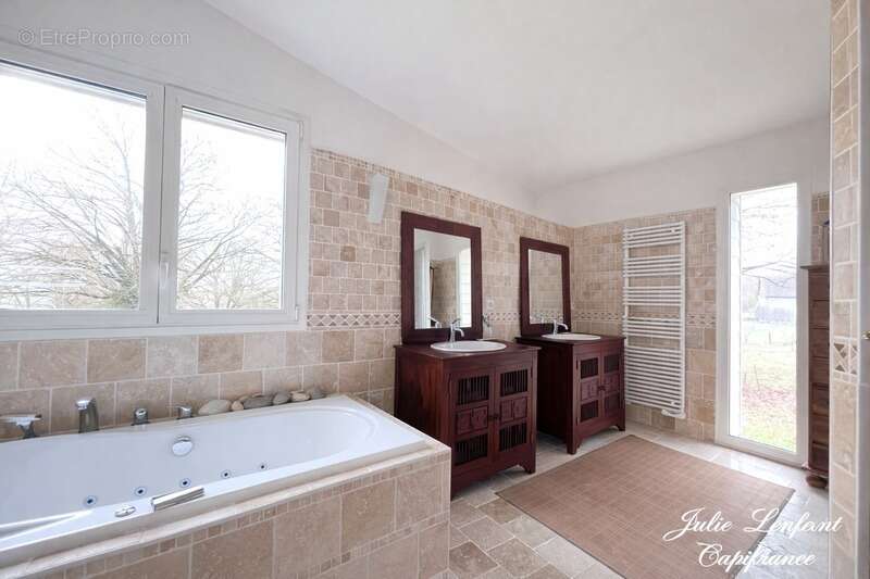 Maison à VIENNE-EN-VAL