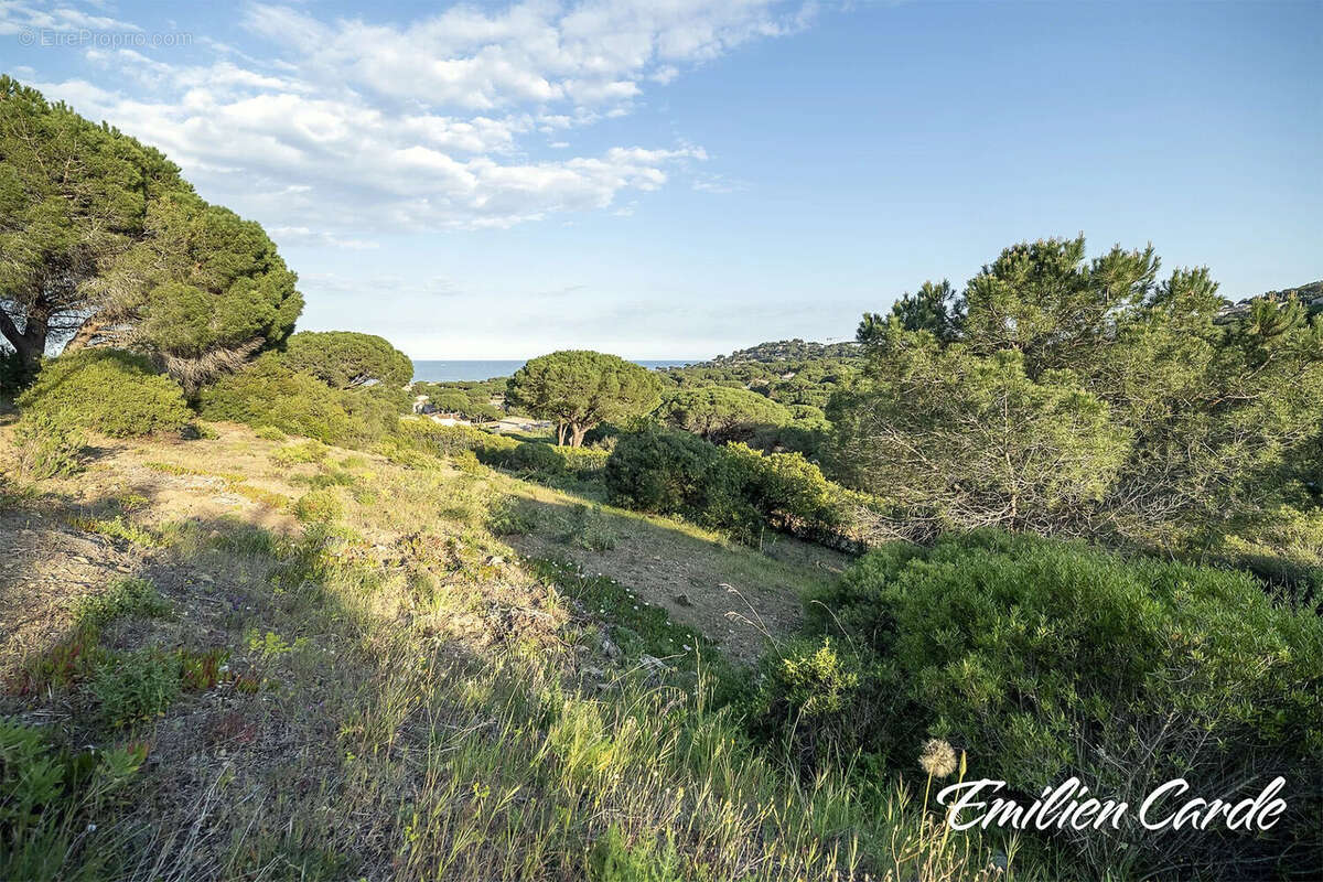 Terrain à SAINTE-MAXIME