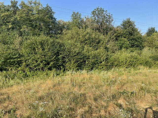 Terrain 7720 m² à Montrond  - photo 3