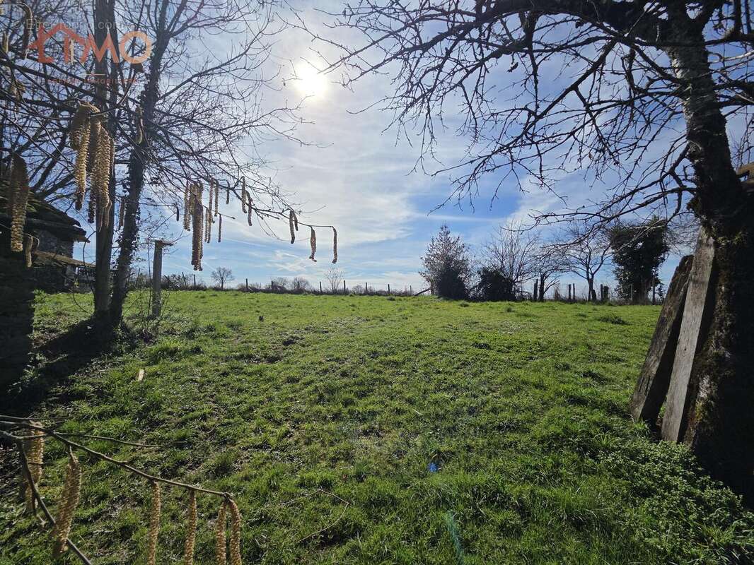 n°2 - Maison à SAINT-PAUL