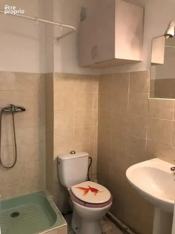 Studio 18m² - photo 5
