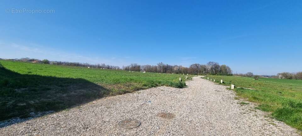 Terrain 378 m² à Montanay  - photo 5