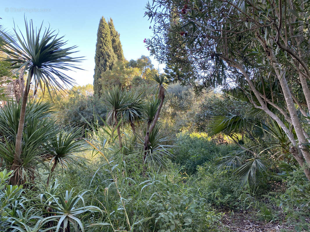 Appartement à LE LAVANDOU