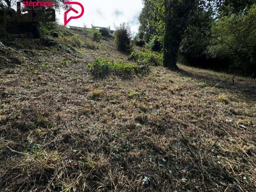 Terrain à DOUARNENEZ