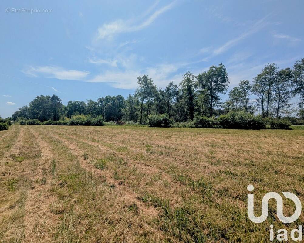 Photo 1 - Terrain à BUDOS