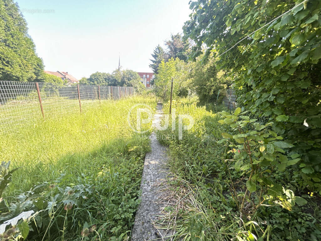 Maison à MONTIGNY-EN-GOHELLE