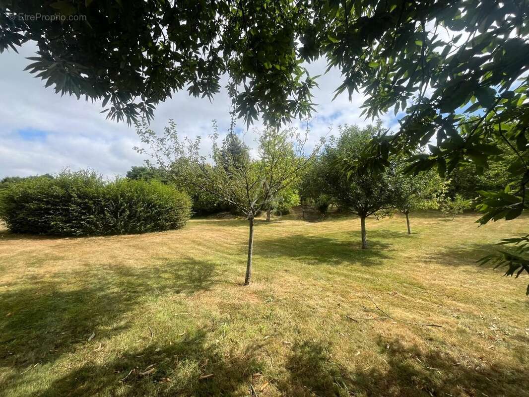 Maison 208 m² à Montours  - photo 18