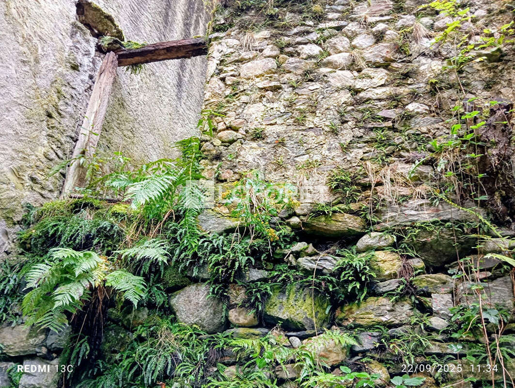 Terrain à PRATS-DE-MOLLO-LA-PRESTE