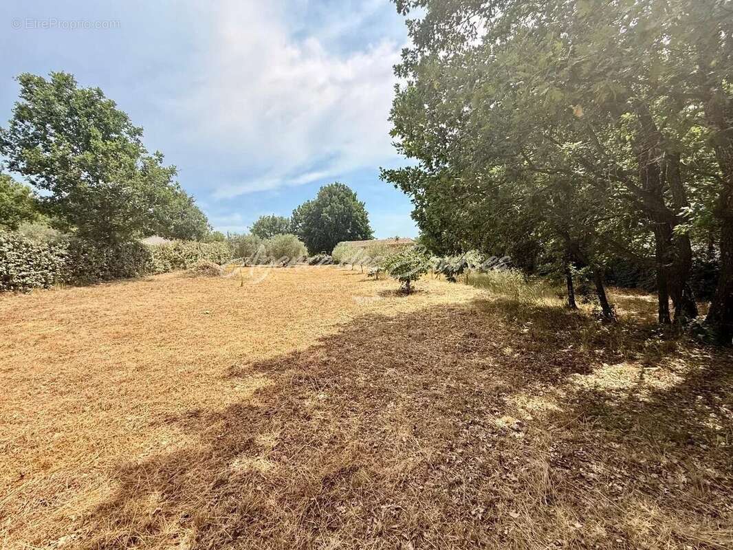 Terrain constructible de 2 063 m² à Brue-Auriac - photo 2