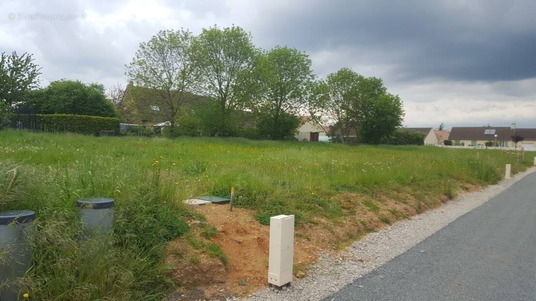 Terrain à MARTIGNE-BRIAND