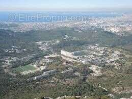 Commerce à MARSEILLE-9E