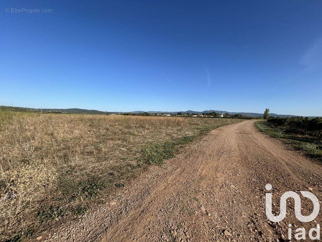 Photo 2 - Terrain à BOUZIGUES