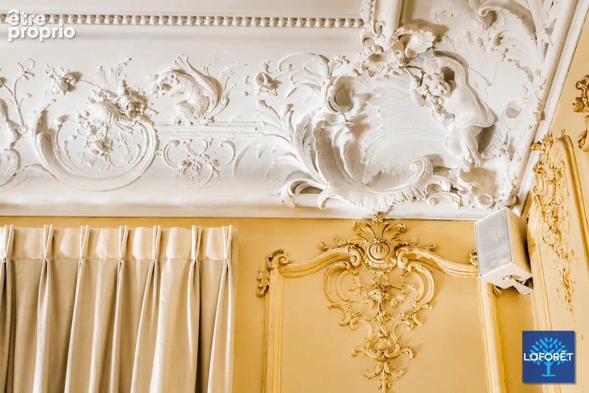 Hôtel particulier du XIXe siècle Valenciennes 700m2 - photo 18