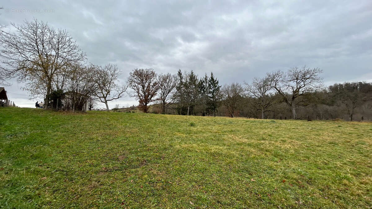 Terrain à SERMENTIZON