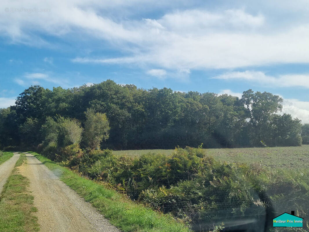 Terrain à LA GARNACHE