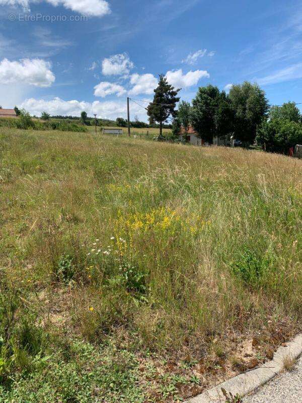 Terrain à bâtir Langogne 1090 m2 - photo 2