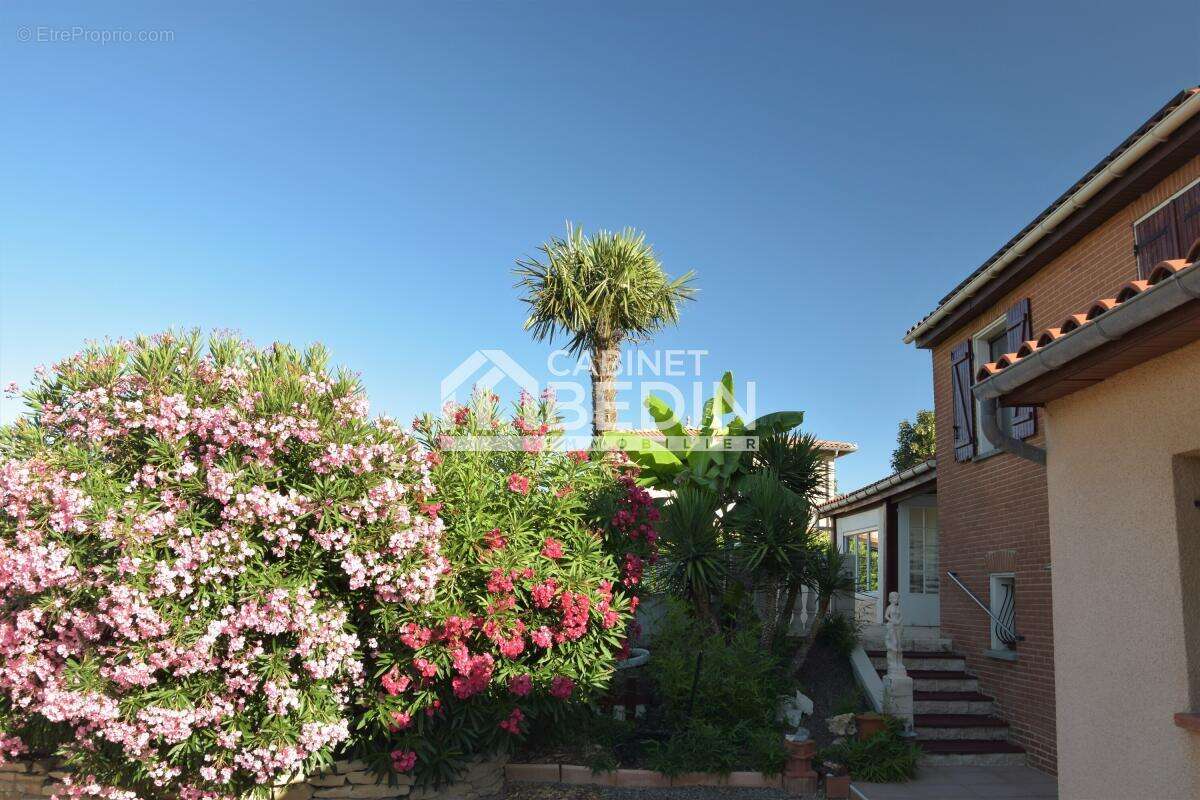 Maison à QUINT-FONSEGRIVES