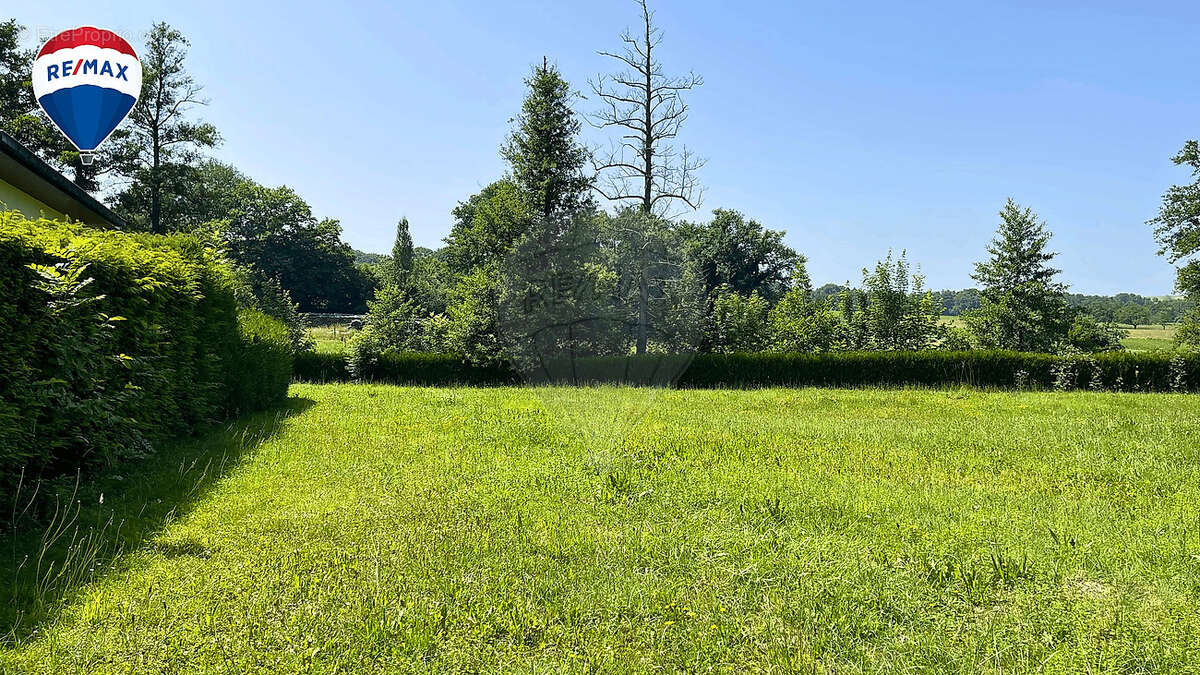 Terrain à NEUWILLER
