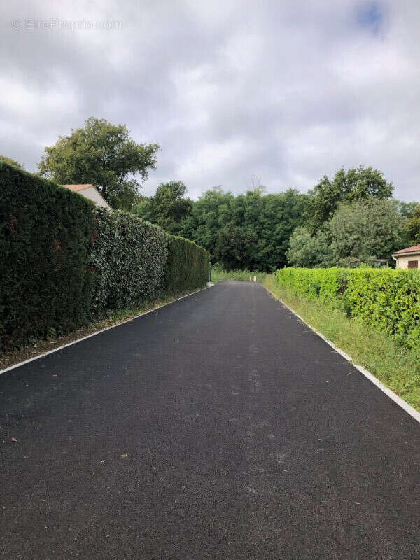 Terrain à LES MATHES