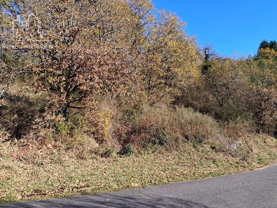 Terrain à LA CANOURGUE