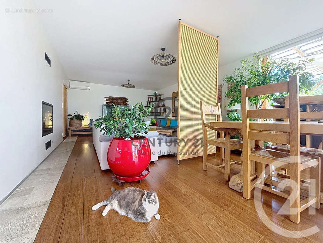 Maison à CASES-DE-PENE