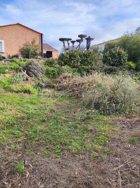 Terrain à MEZE