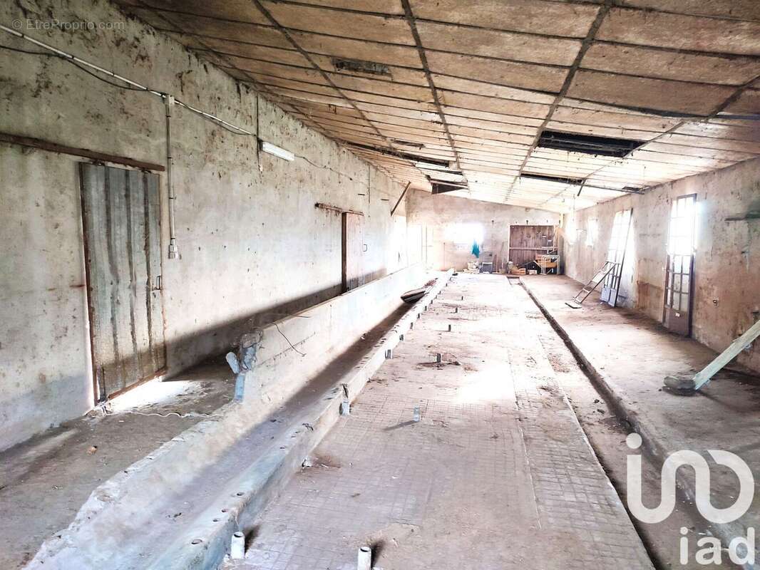 Photo 6 - Terrain à NEGREPELISSE