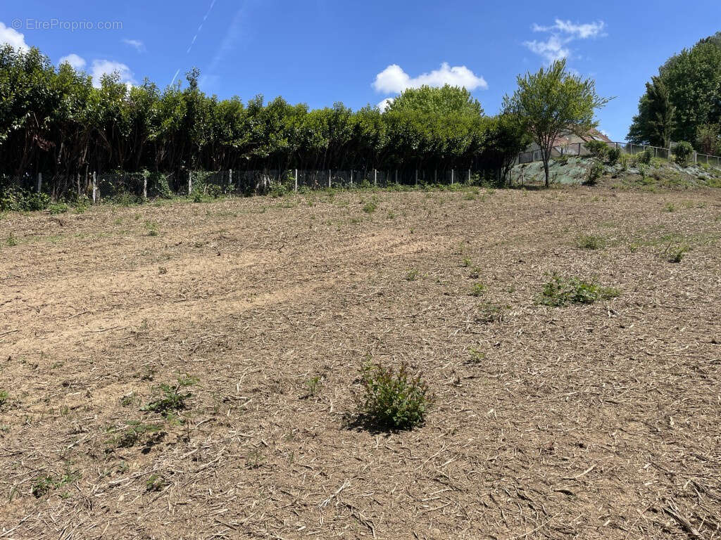 Terrain à SAINT-SORNIN-LAVOLPS