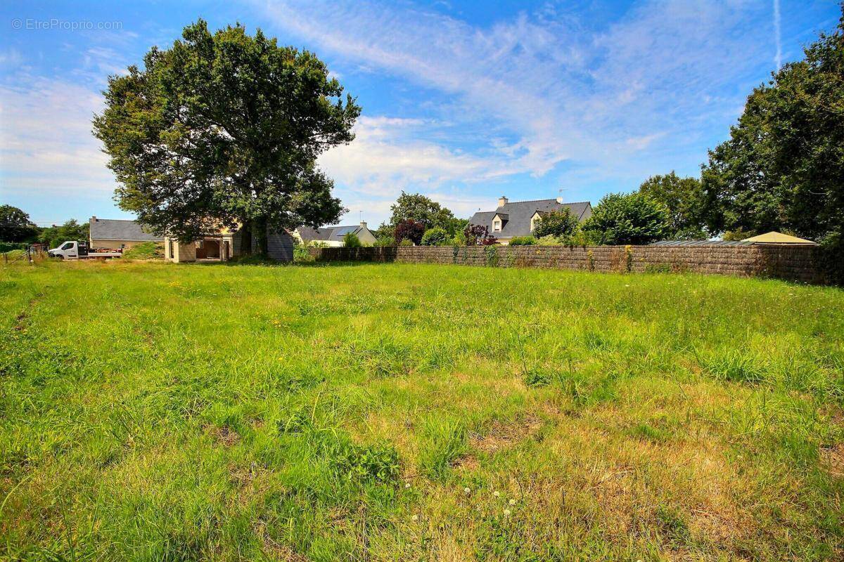 Terrain à HERBIGNAC