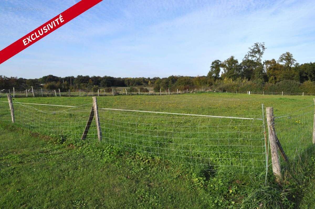 Terrain à ECOYEUX