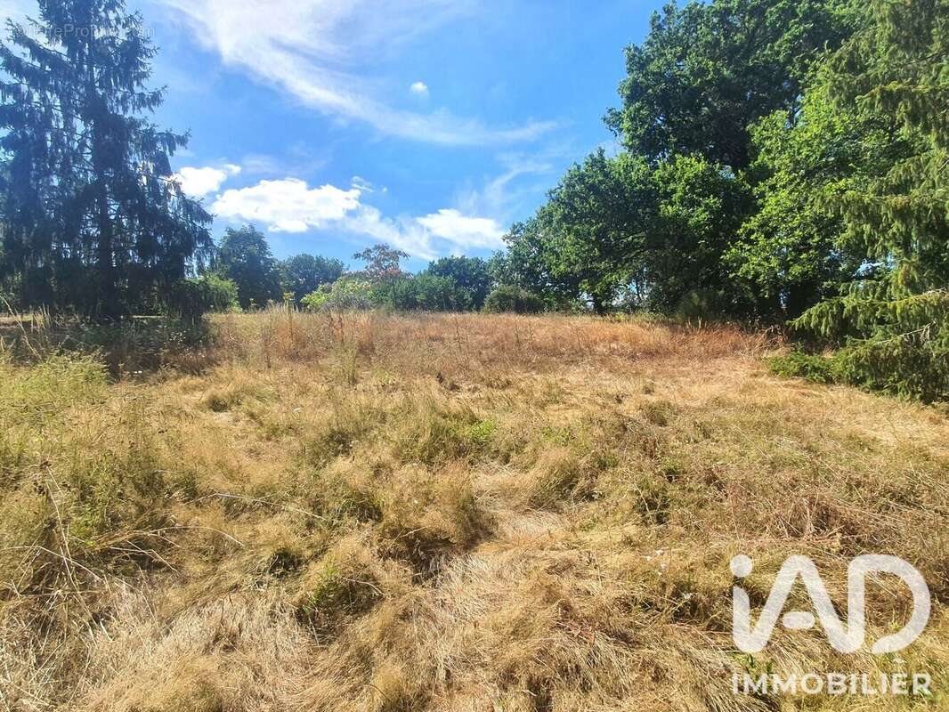 Terrain 1103 m² à Saint-Vincent-Sur-Graon  - photo 4