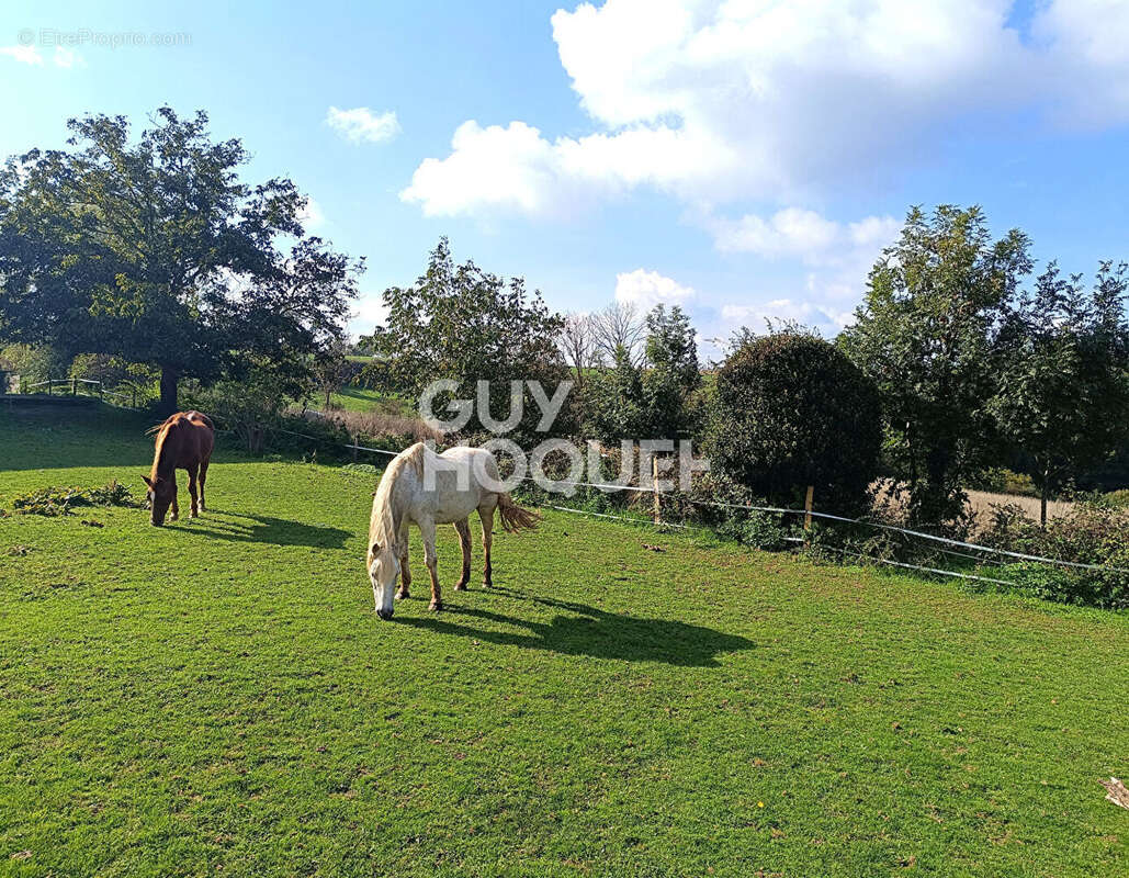 Maison à ESSERTINES-EN-DONZY