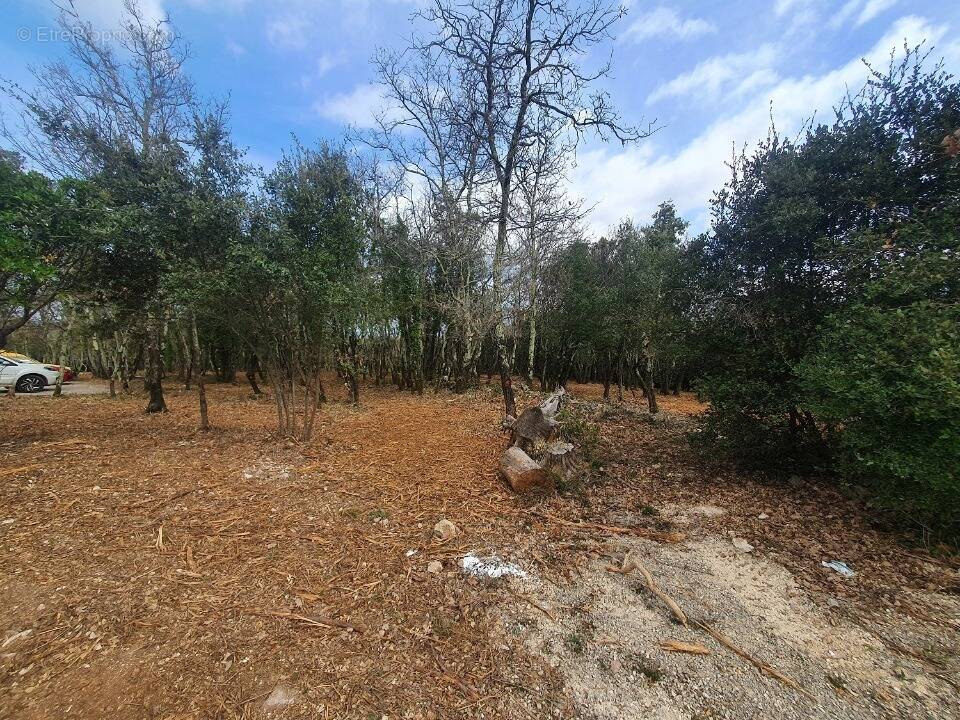 Terrain à LABASTIDE-DE-VIRAC