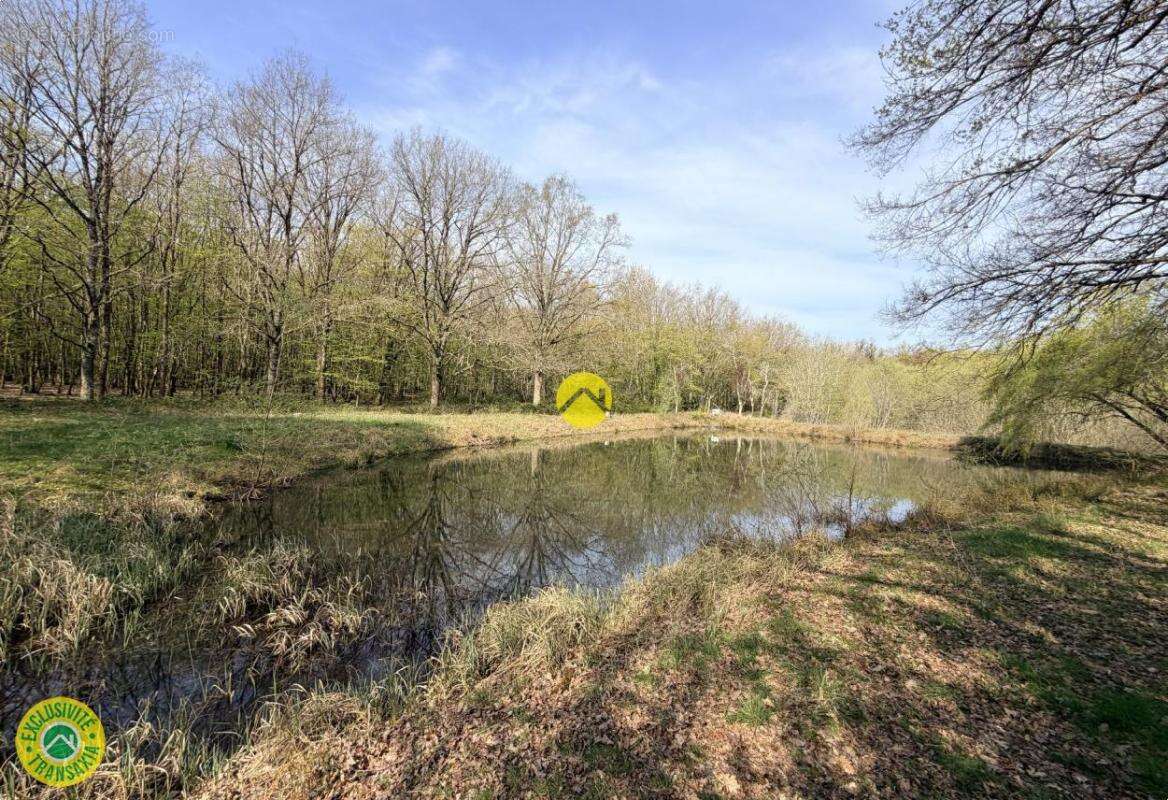 Terrain à MAREUIL-SUR-ARNON