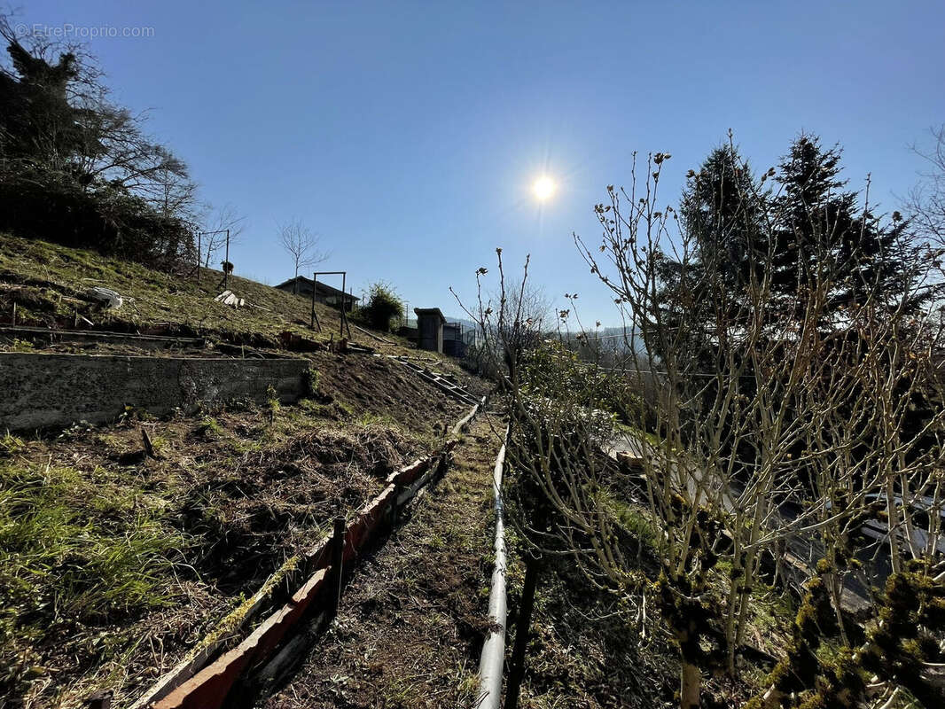 Photo 2 - Maison à COURS-LA-VILLE