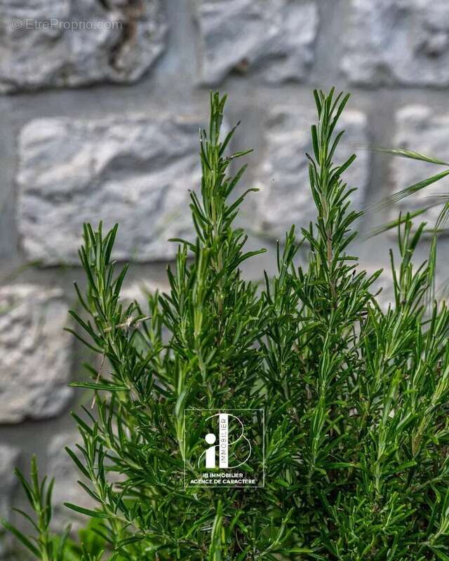 Maison à BOURRON-MARLOTTE