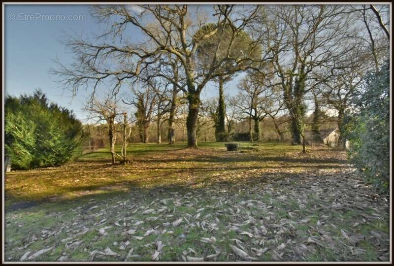 Proche dax ( mi-chemin entre dax & mont de marsan ) - magnifique villa landaise de 266 m2 - 7 chambres - photo 2