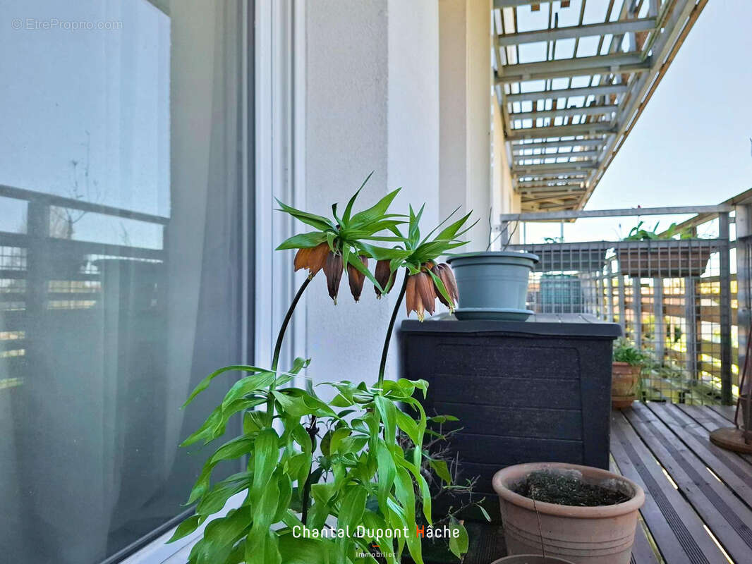 Appartement à CHARTRES