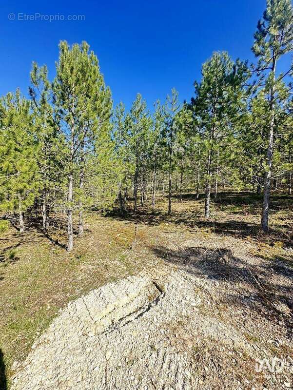 Photo 9 - Terrain à MOLLANS-SUR-OUVEZE