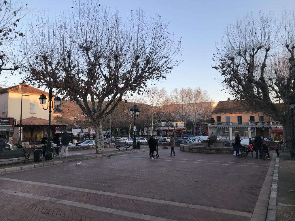 Commerce à MOUANS-SARTOUX