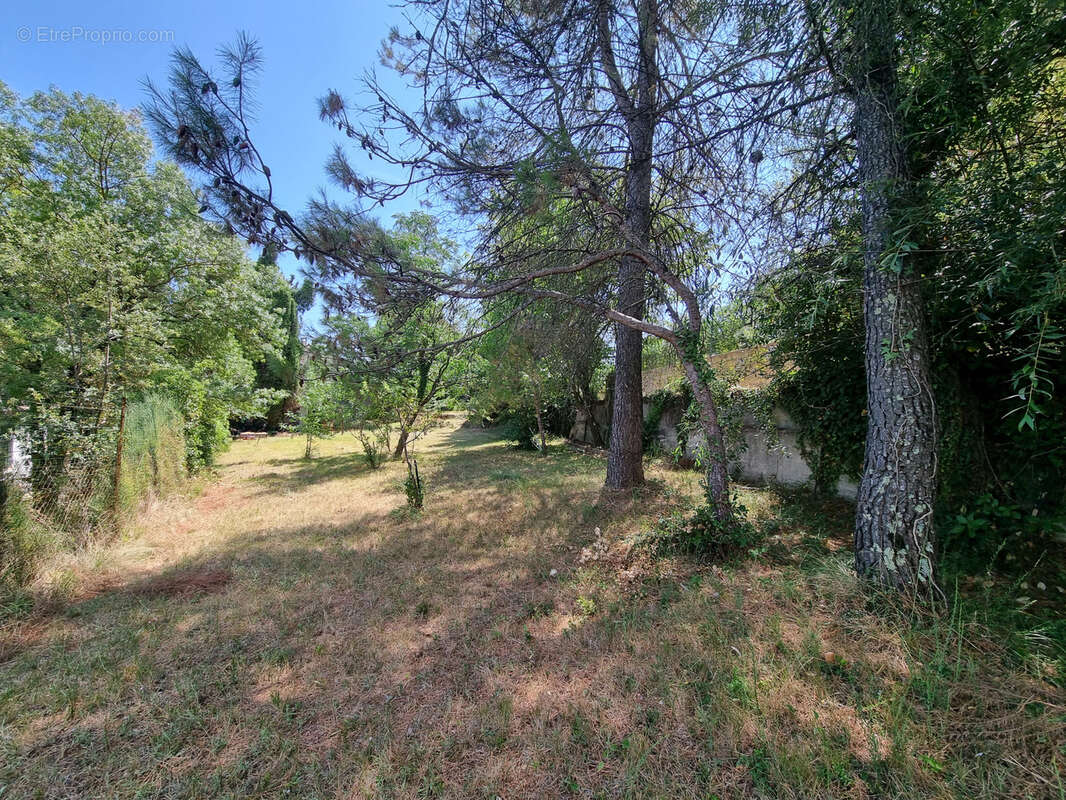 Terrain à MONTFERRIER-SUR-LEZ