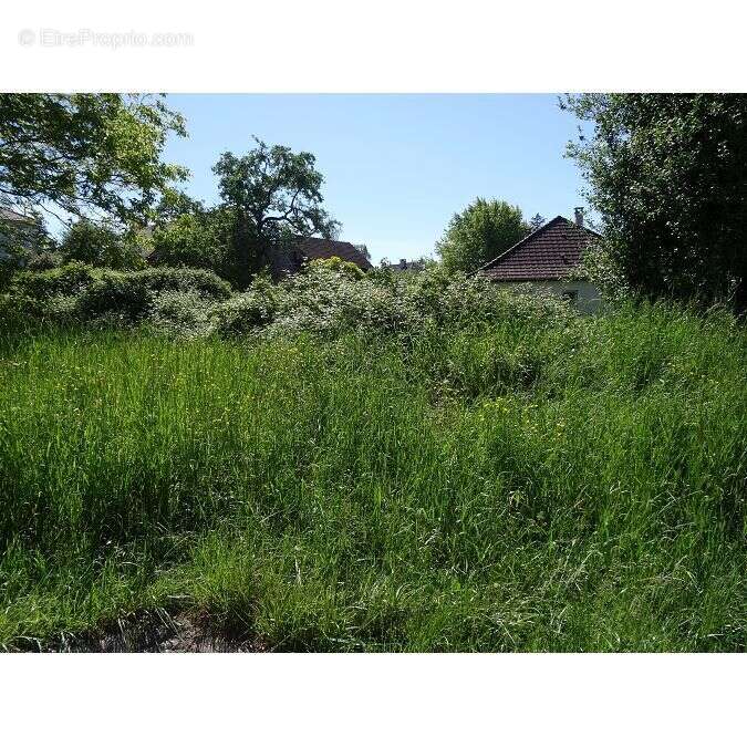 Terrain 586 m² à Meyssac  - photo 5