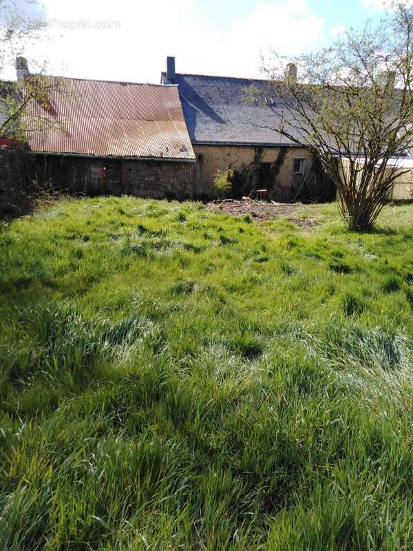 Photo 7 - Maison à BLAIN