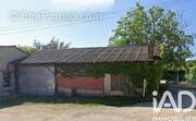 Photo 1 - Appartement à MOISSAC