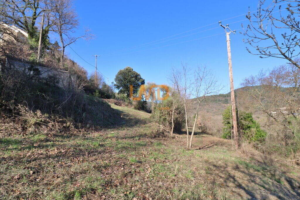 Terrain à TAUSSAC-LA-BILLIERE