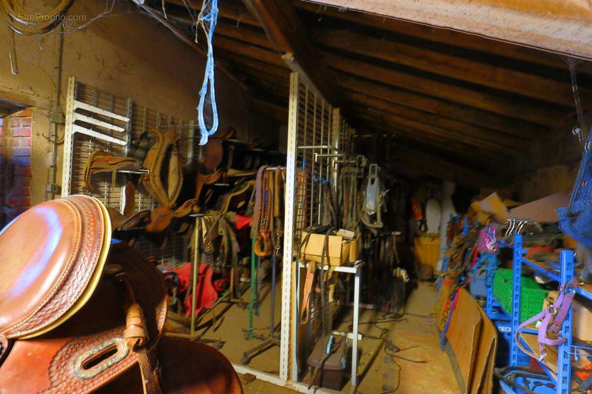 Propriete à vendre 4 pièces NOAILLY (42) - photo 15