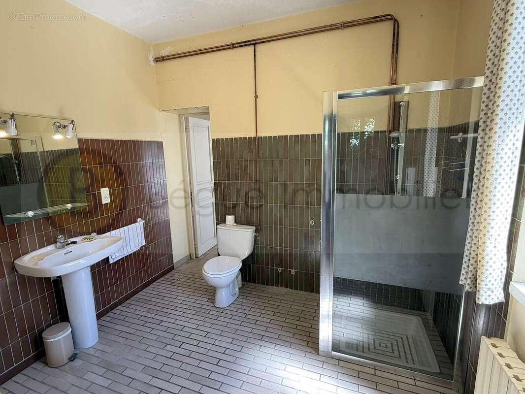Maison 296 m² à Pibrac  - photo 9