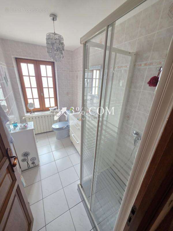 Spacieuse Maison Familiale de 340 m2 à Damelevieres (54360) - photo 28