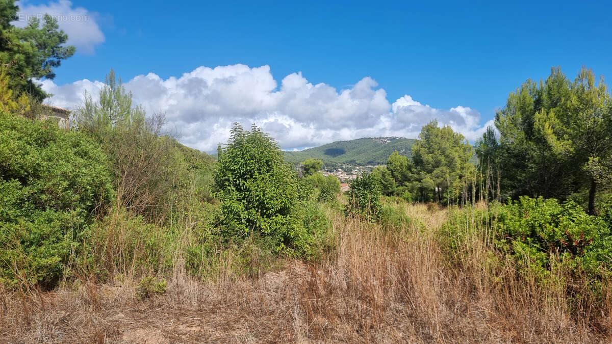 Terrain à CARQUEIRANNE