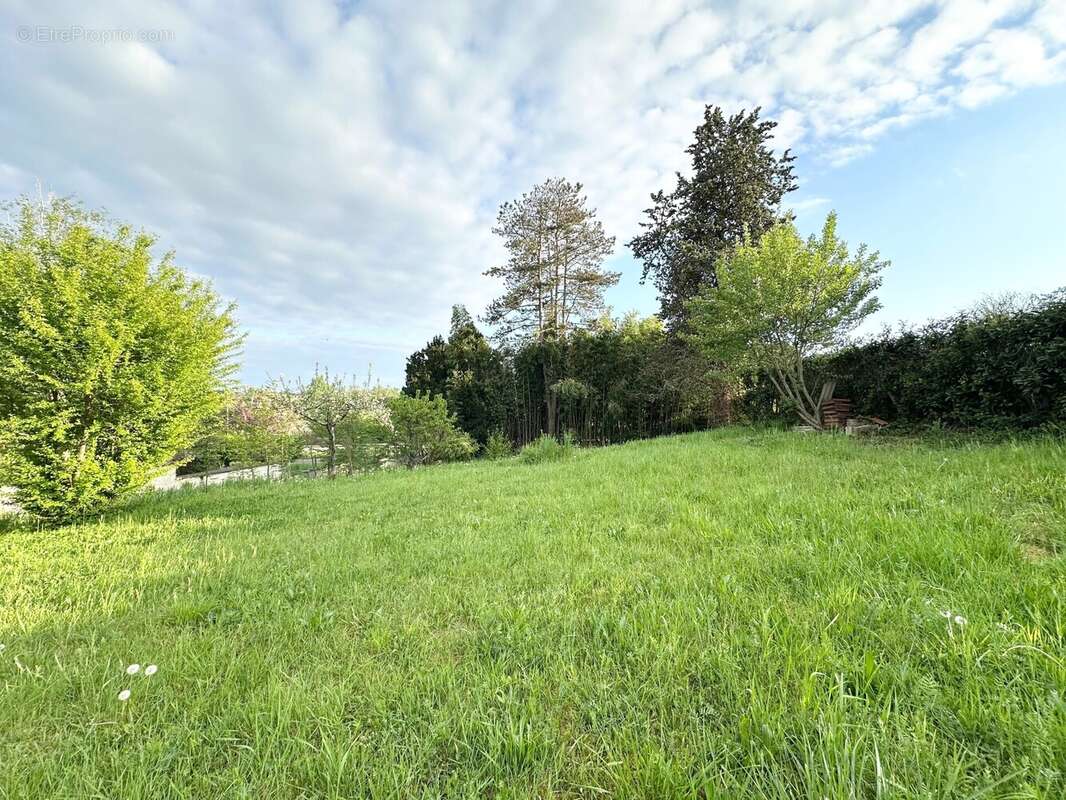 Terrain à MONTREVEL-EN-BRESSE